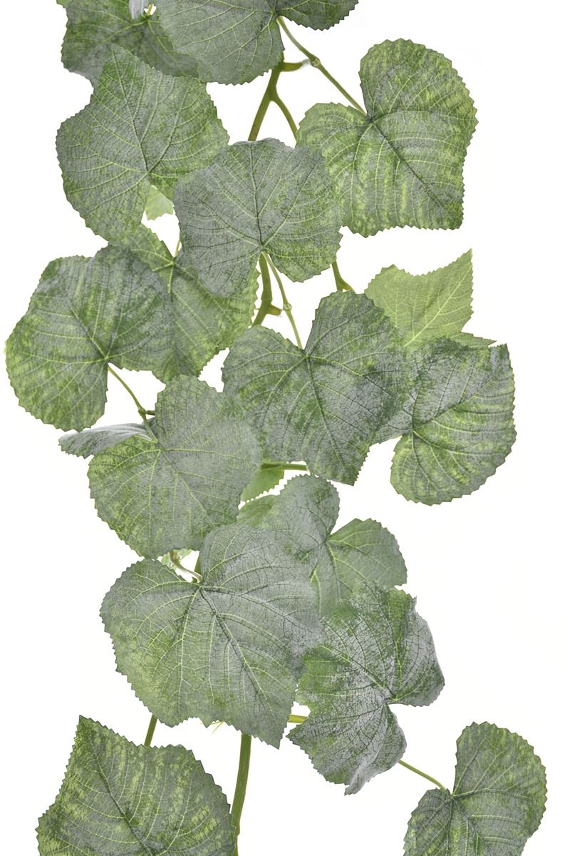 GIRLANDA WINOROŚL 160CM BL066 POWDER  REEN