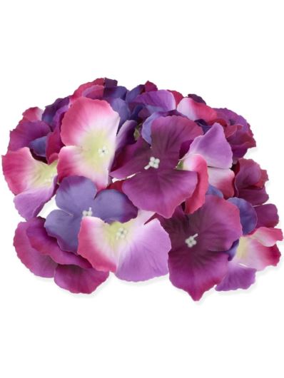 HORTENSJA GŁÓWKA 17CM / LE18 ULTRAVIOLET