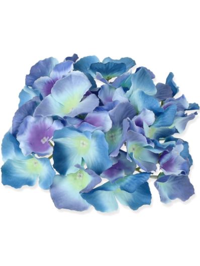 HORTENSJA GŁÓWKA 17CM / LE18 AZURE BLUE