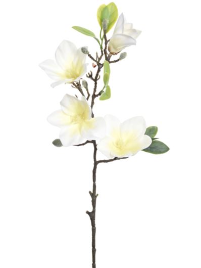 MAGNOLIA GAŁĄZKA 68CM PIANKA ERA1023 CREAM WHITE