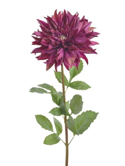DALIA 95CM GIGANT REN2007 NATURAL TOUCH PURPLE
