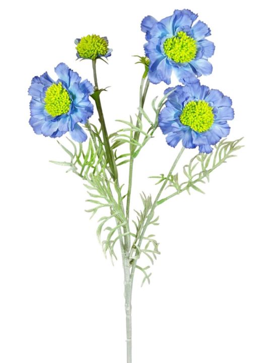 SCABIOSA 4 KWIATY 60CM BLUE