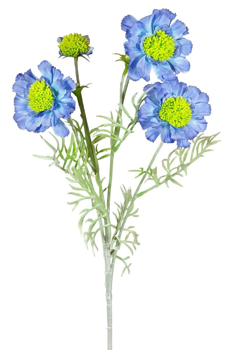 SCABIOSA 4 KWIATY 60CM BLUE