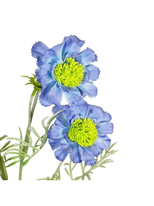 SCABIOSA 4 KWIATY 60CM BLUE