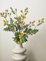 TANACETUM x3 GAŁĄZKA 70CM BEDGE