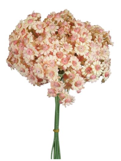 GIPSÓWKA KWIATUSZKI 10PIK/PĘCZEK 34CM CREAM PINK