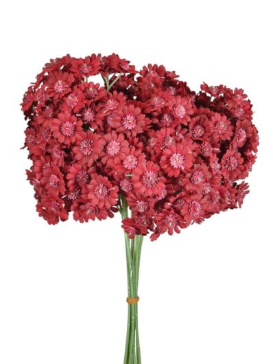 GIPSÓWKA KWIATUSZKI 10PIK/PĘCZEK 34CM DK RED