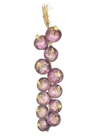 Cebula na sznurze o długości 60 cm VIOLET
