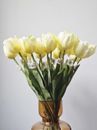 TULIP X1 W/2LEVES 43CM 7022 LEMON