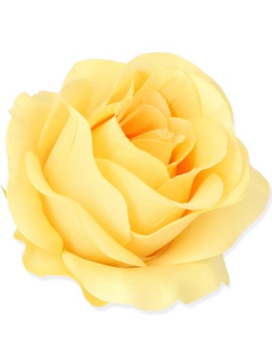 RÓŻA VIVALDI GŁÓWKA 8CM /3202 PURE YELLOW XYYE78