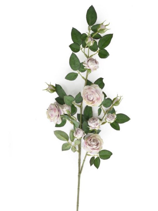 Róża Gał dzikiej różyczki 78cm sun663 powder viol