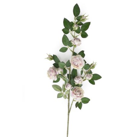 Róża Gał dzikiej różyczki 78cm sun663 powder viol