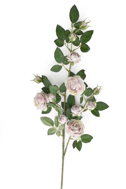 Róża Gał dzikiej różyczki 78cm sun663 powder viol