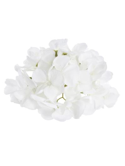 HORTENSJA GŁOWA 17CM KLM1201 WHITE