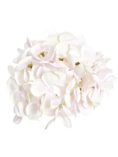 HORTENSJA GŁOWA 17CM KLM1201 POWDER PINK