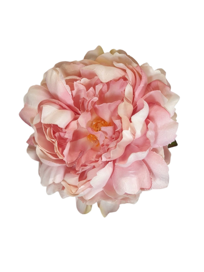 PEONIA GŁOWA 15CM MY249 OLD LT PINK