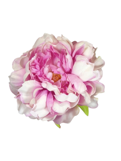 PEONIA GŁOWA 15CM MY249 DK PINK