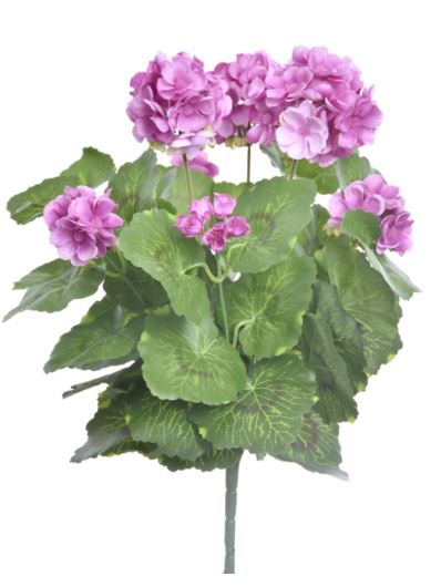 PELARGONIA X7 40CM SUN534 VIOLET LT VIOLET