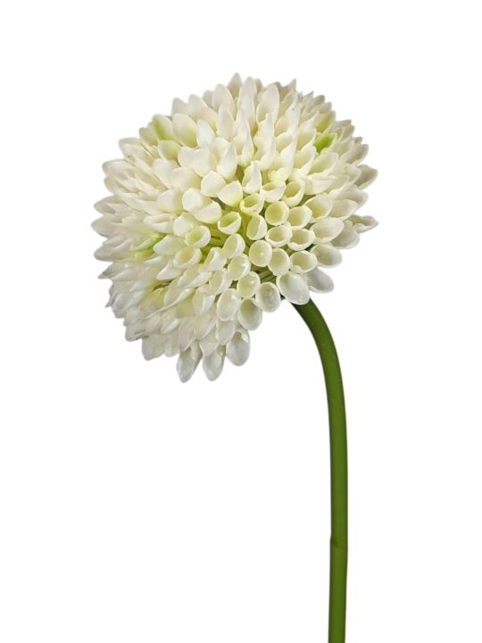 CZOSNEK – ALLIUM PLASTIC 35CM FJ049 WHITE CREAM