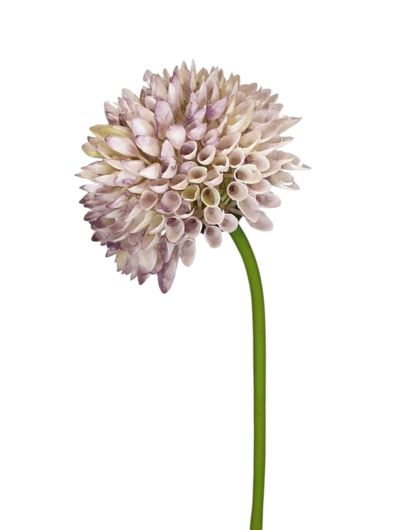 CZOSNEK – ALLIUM PLASTIC 35CM FJ049 OLD VIOLET