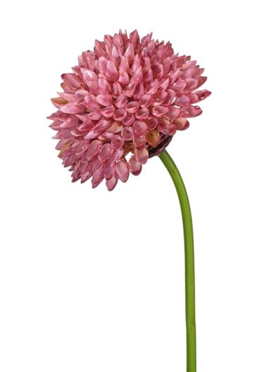CZOSNEK – ALLIUM PLASTIC 35CM FJ049 MAUVE PINK