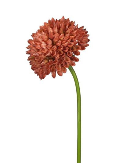 CZOSNEK – ALLIUM PLASTIC 35CM FJ049 OLD BRICK
