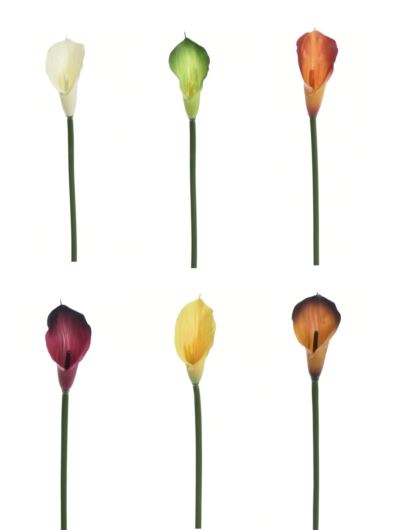 CALLA GUMA 72 CM  ANA1013 6 KOLORÓW  MIX2