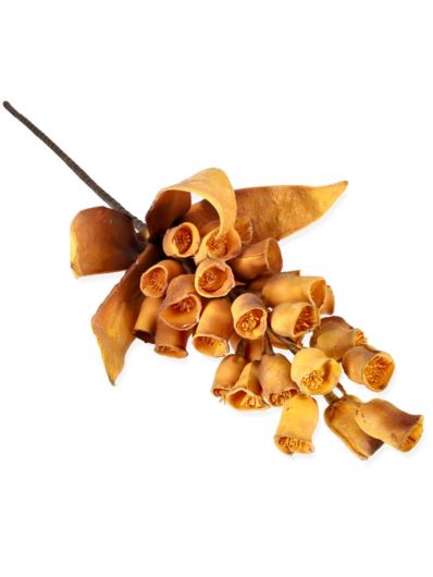 DZWONECZNIK 90CM /2121 BROWN OLD YELLOW