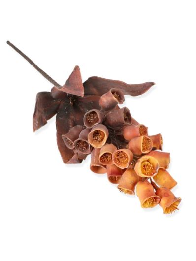 DZWONECZNIK 90CM /2121 BROWN OLD ORANGE