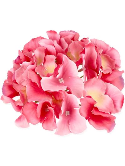 HORTENSJA GŁÓWKA 17CM / LE18 HOT PINK GREEN