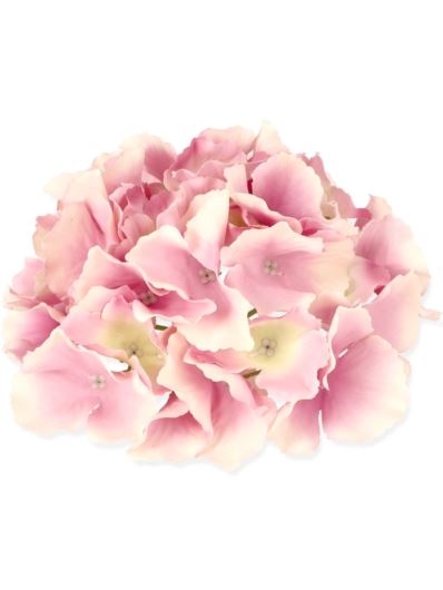 HORTENSJA GŁÓWKA 17CM / LE18 BLOSSOM