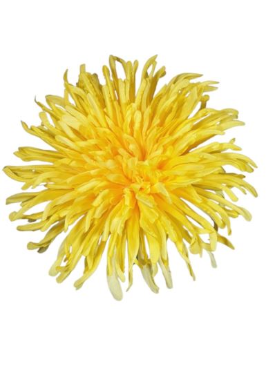 CHRYZANTEMA PŁASKA 17CM MY231 4 YELLOW