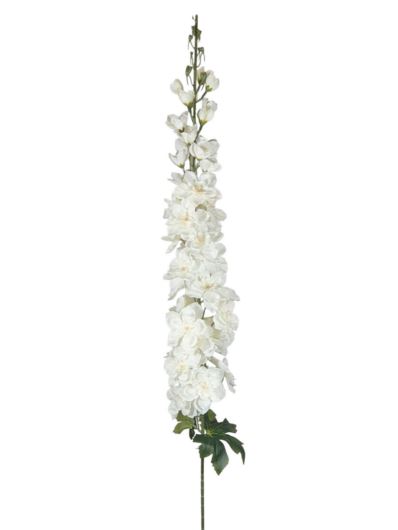 OSTRÓŻKA DELPHINIUM 120CM EJ035 2 CREAM WHITE