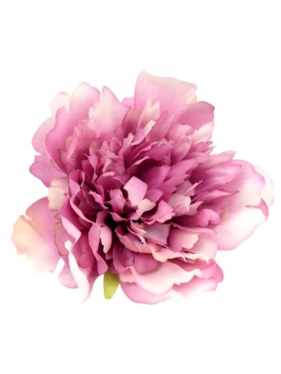 PEONIA GŁÓWKA 12CM OLD BEAUTY