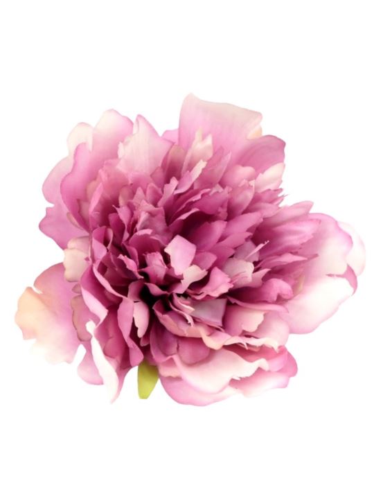 PEONIA GŁÓWKA 12CM OLD BEAUTY