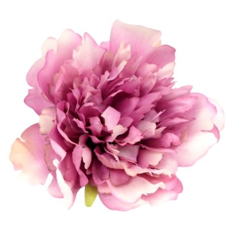 PEONIA GŁÓWKA 12CM OLD BEAUTY