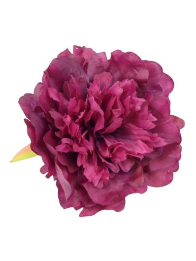PEONIA GŁÓWKA 12CM DK FUCHSIA