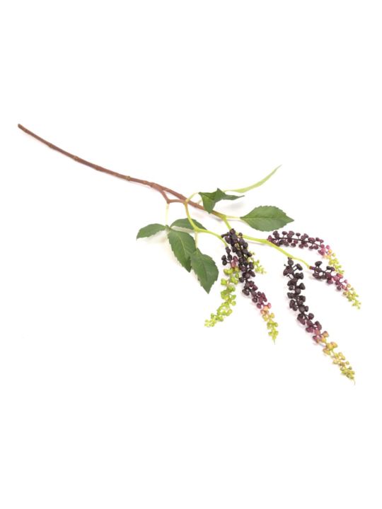 SZKARŁATKA ZWISAJĄCA 85CM BURGUNDY GREEN