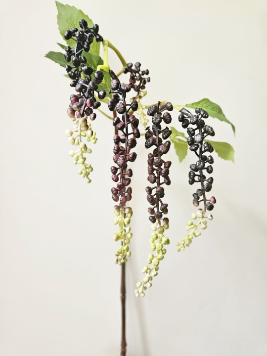 SZKARŁATKA ZWISAJĄCA 85CM BURGUNDY GREEN