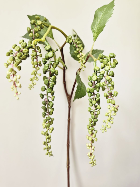 SZKARŁATKA ZWISAJĄCA 85CM GREEN