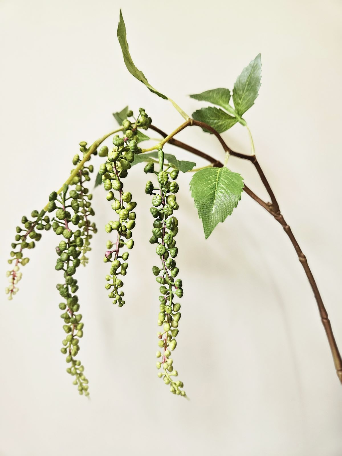 SZKARŁATKA ZWISAJĄCA 85CM GREEN
