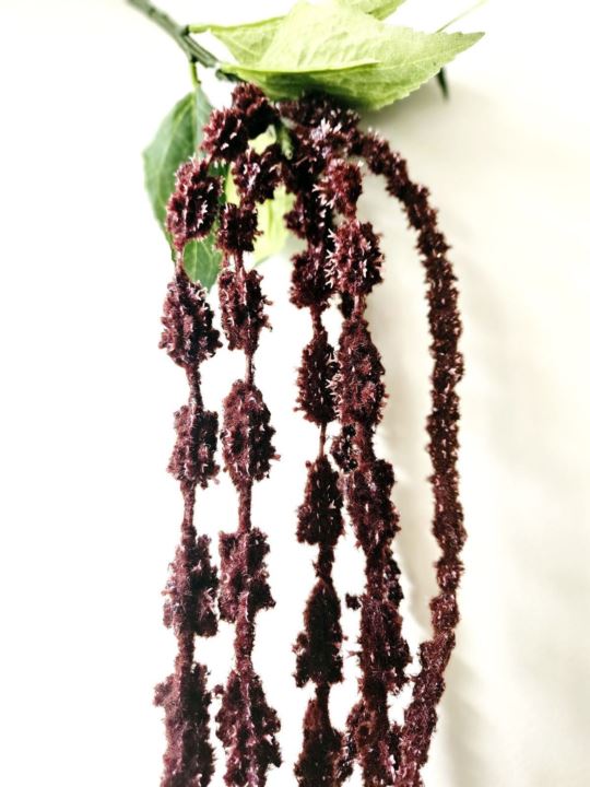 AMARANTUS ZWISAJĄCY 120CM DK BURGUND