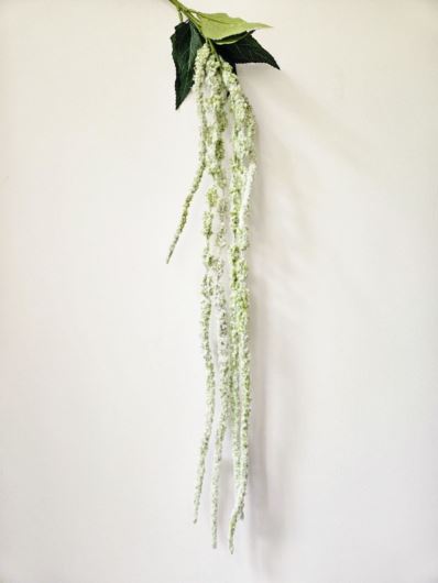 AMARANTUS ZWISAJĄCY 120CM POWDER GREEN