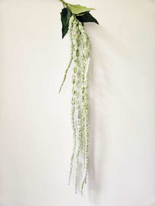 AMARANTUS ZWISAJĄCY 120CM POWDER GREEN
