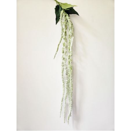 AMARANTUS ZWISAJĄCY 120CM POWDER GREEN
