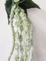 AMARANTUS ZWISAJĄCY 120CM POWDER GREEN