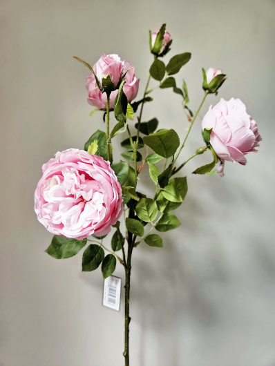 RÓŻA ANGIELSKA GAŁĄZKA 62CM LT PINK