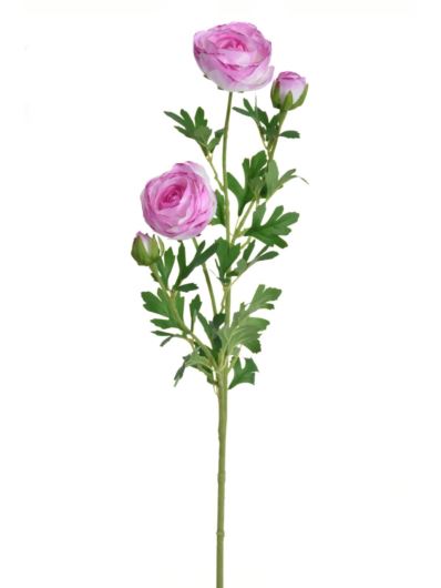 PEŁNIK GAŁĄZKA 72CM SUN311 CREAM EDGE VIOLET