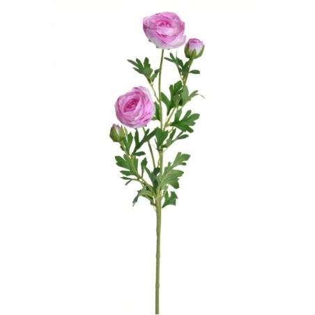 PEŁNIK GAŁĄZKA 72CM SUN311 CREAM EDGE VIOLET