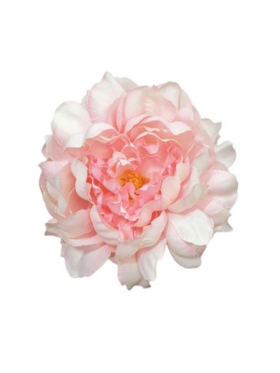 PEONIA GŁOWA 15CM MY249 LT PINK